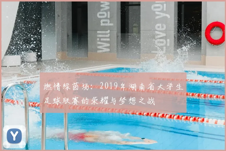 燃情绿茵场:2019年湖南省大学生足球联赛的荣耀与梦想之战