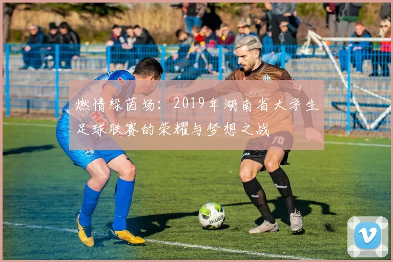 燃情绿茵场:2019年湖南省大学生足球联赛的荣耀与梦想之战